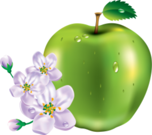 AMBIENTADOR TARRITO MANZANA